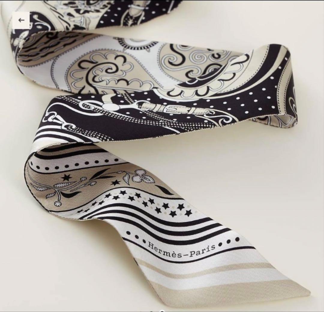 エルメス　ツイリー アマゾンの祭典　2025ss