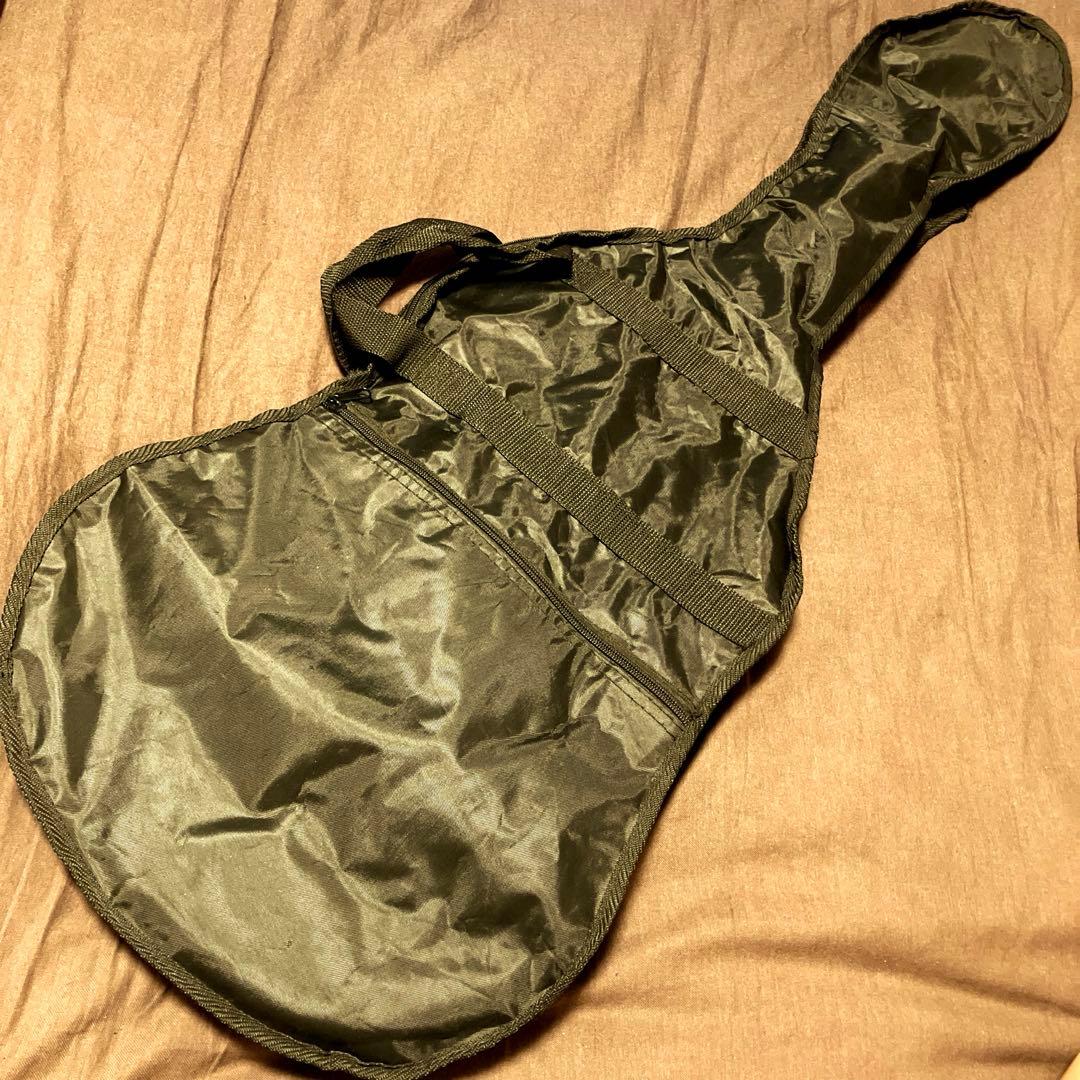 【PEAVEY】Raptor Plus ラプタープラス 黒 エレキギター