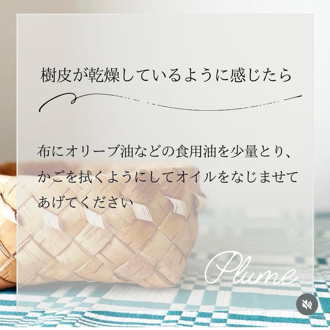 白樺　カゴ　北欧