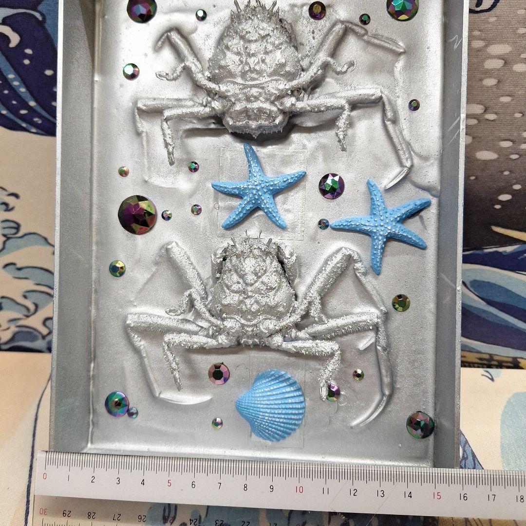 平家怨霊人面蟹稀少レア平家蟹鬼面蟹ペア二点凹凸リアル立体標本飾り置物コレクション