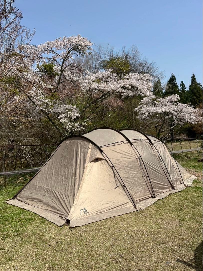 サバティカル テント/アルニカ