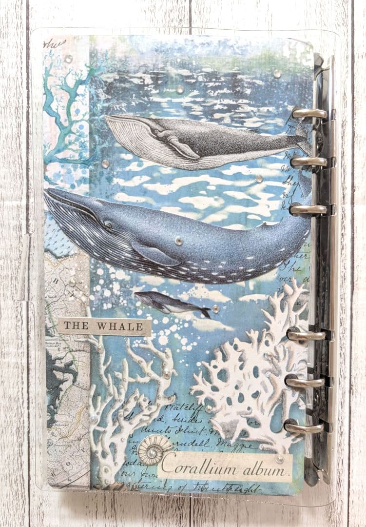 【お取り置き】おすそ分けファイル♡ スタンペリア・Arctic♡ A6サイズ♡