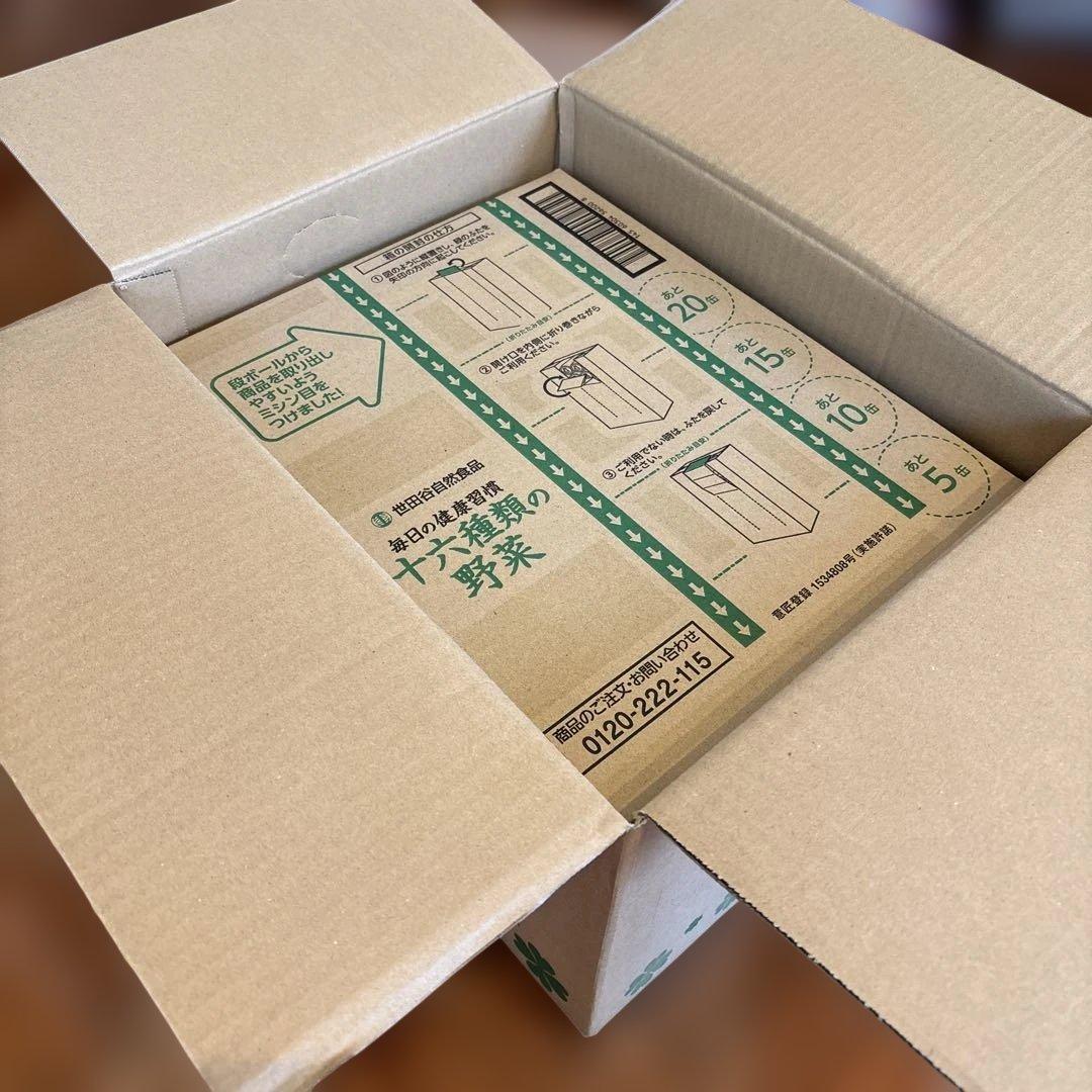 【25.6.15到着品】世田谷自然食品　16種類の野菜　2箱セット