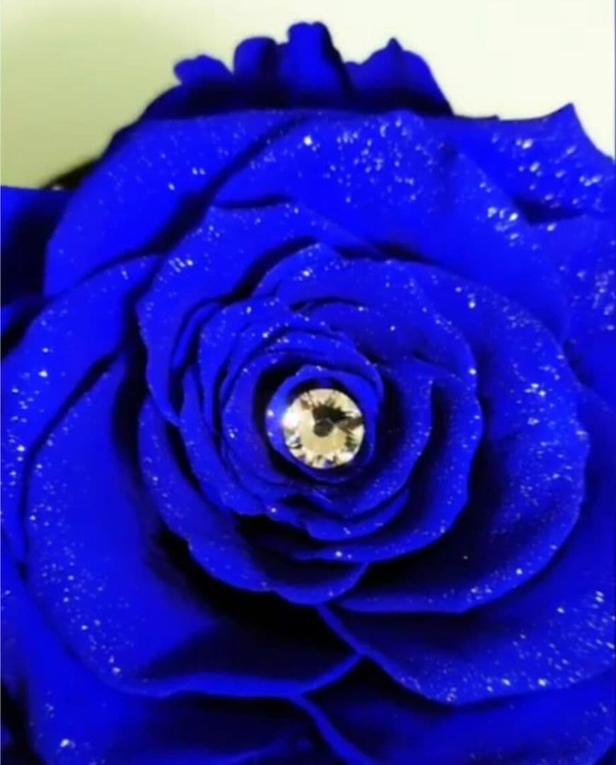 希少　ダイヤモンドローズ　青　ブルーローズ　奇跡　スワロ付