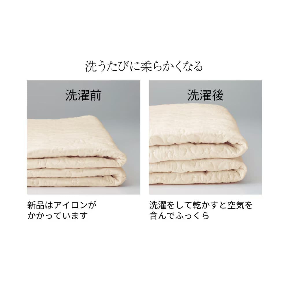 新品未使用 パシーマ Disney ミッキーシルエット 敷きパッド シングル ①