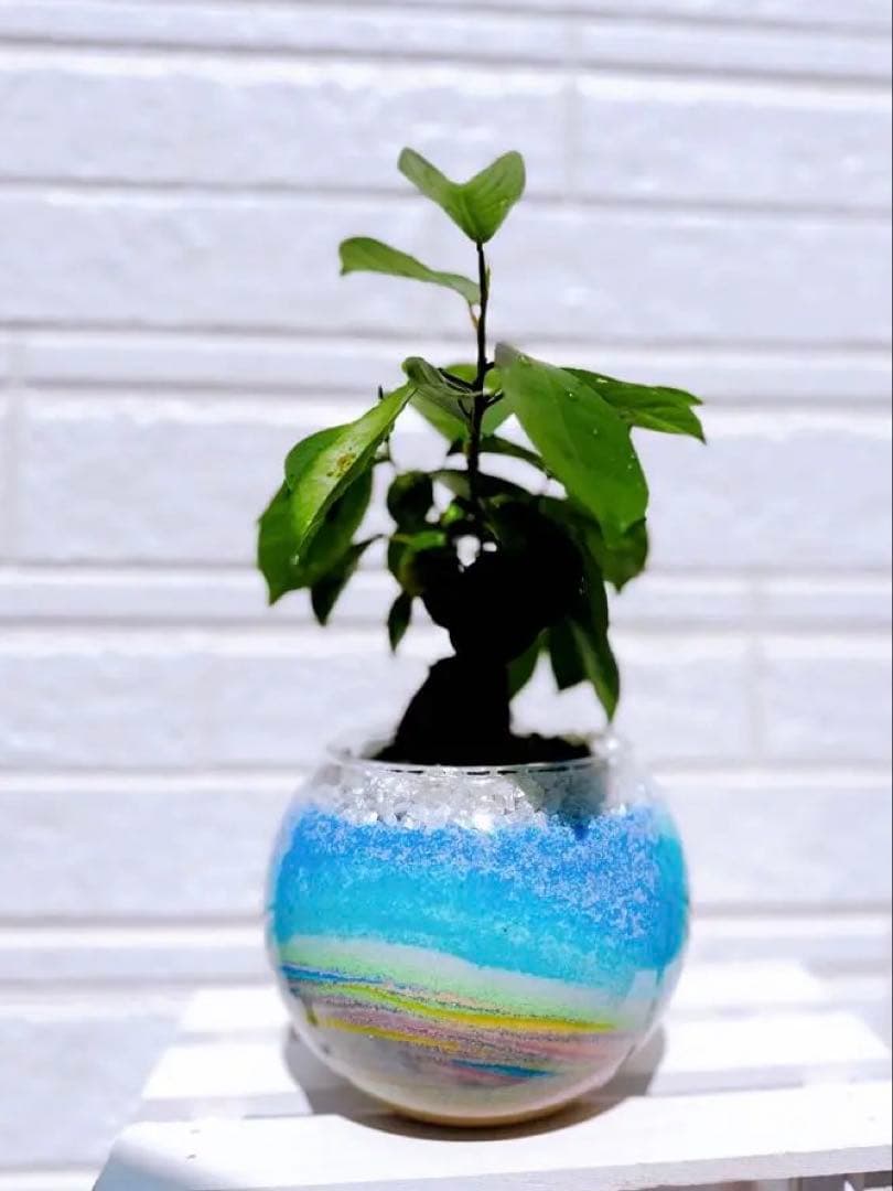 オーダー専用ページ