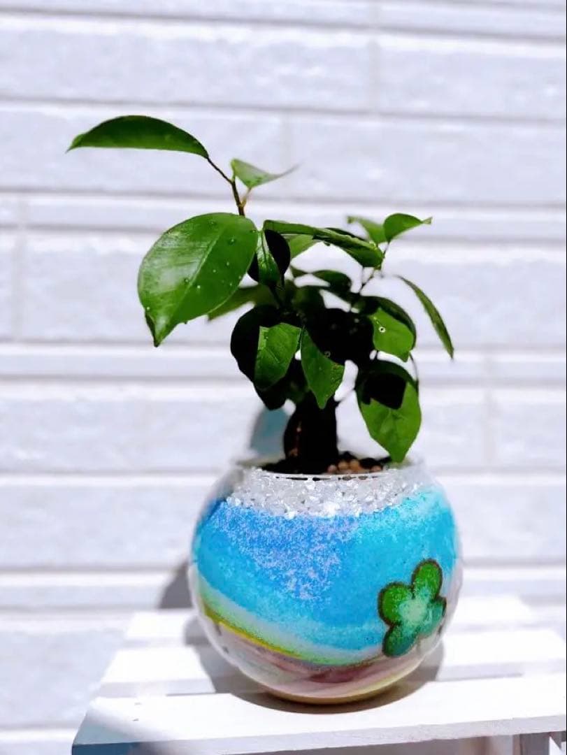 オーダー専用ページ