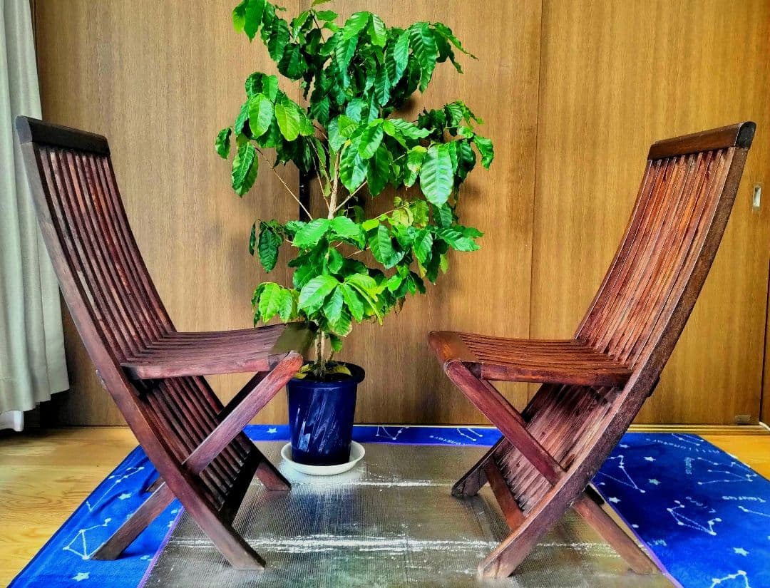 木製折りたたみ椅子 　ガーデンチェア 2脚セット　おまけ付き