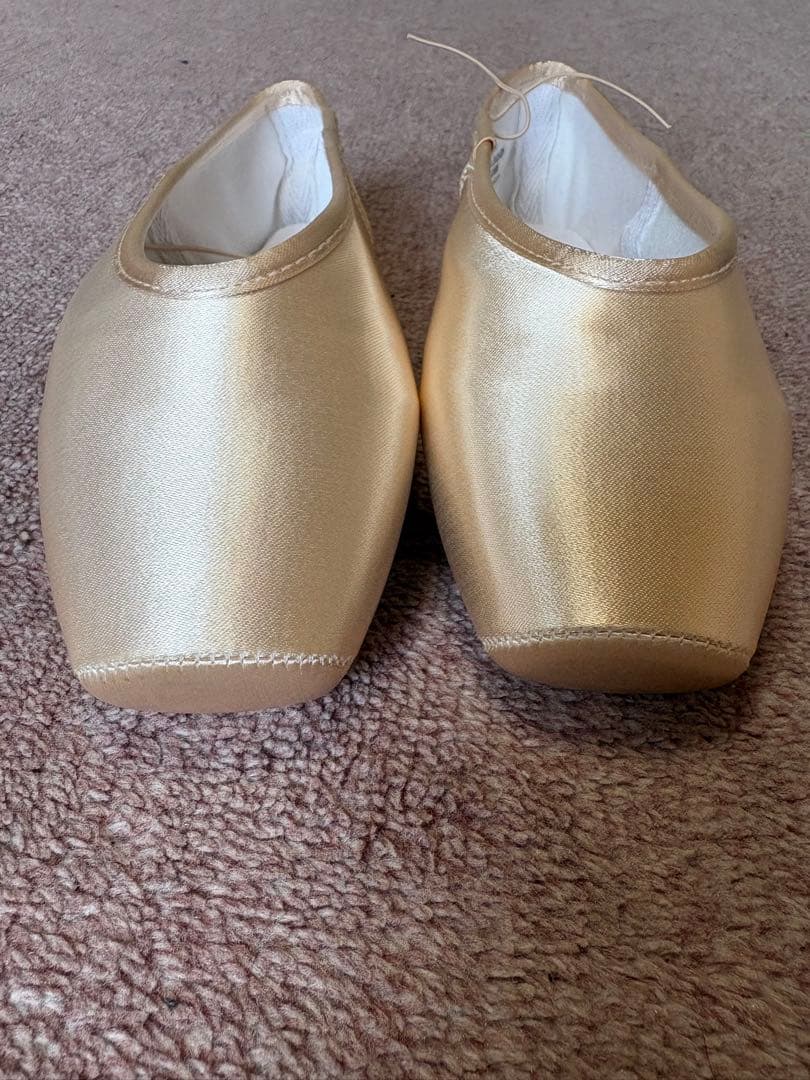 ゲイナーミンデントウシューズ　CL-8.5N3HDH