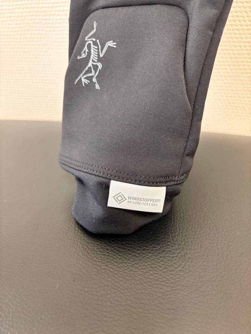 【2025年モデル】アークテリクス ベンタグローブ M（正規品）