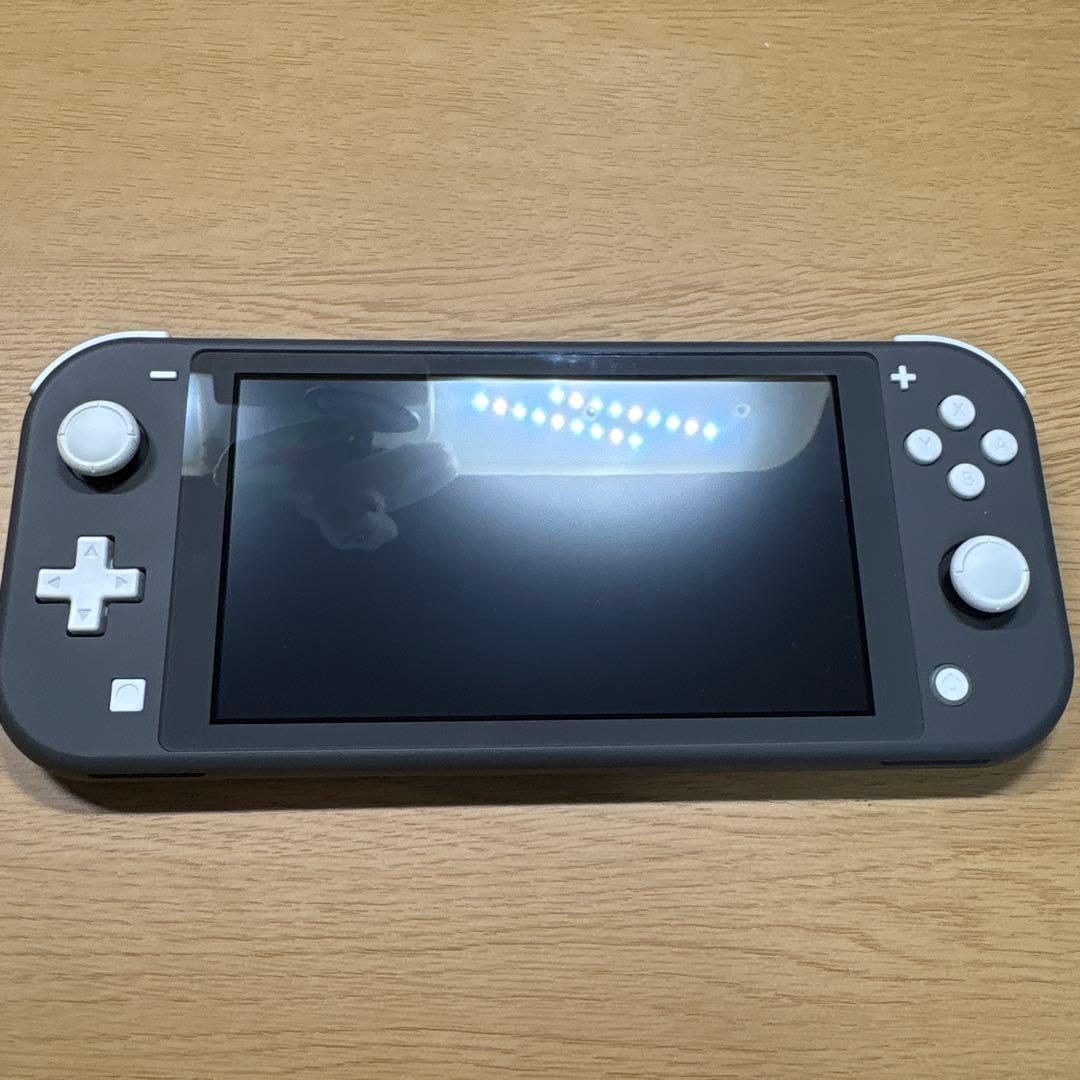 任天堂Switch light グレー　持ち運びケース付き