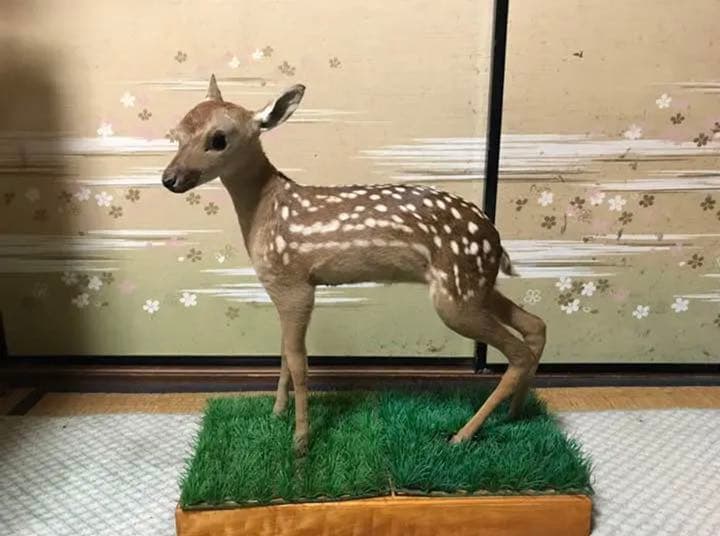 子鹿の置物