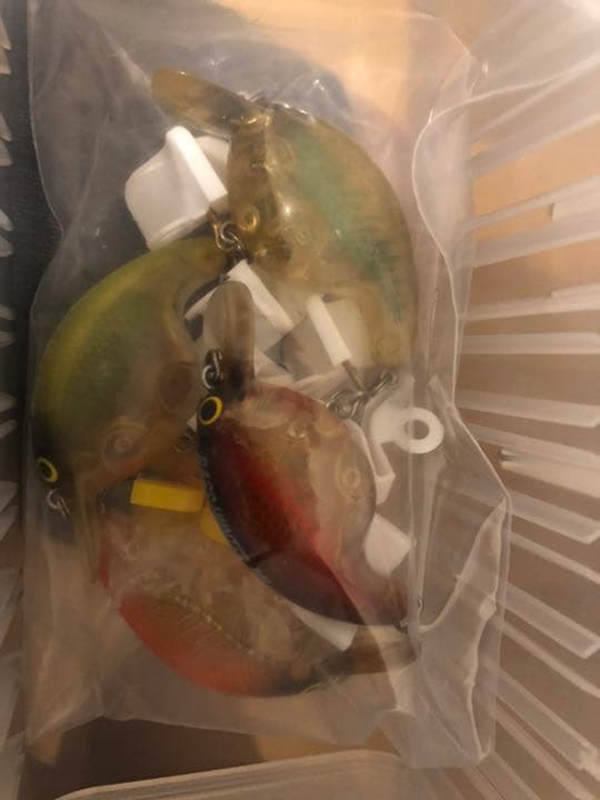 ダイワ バスハンターセット