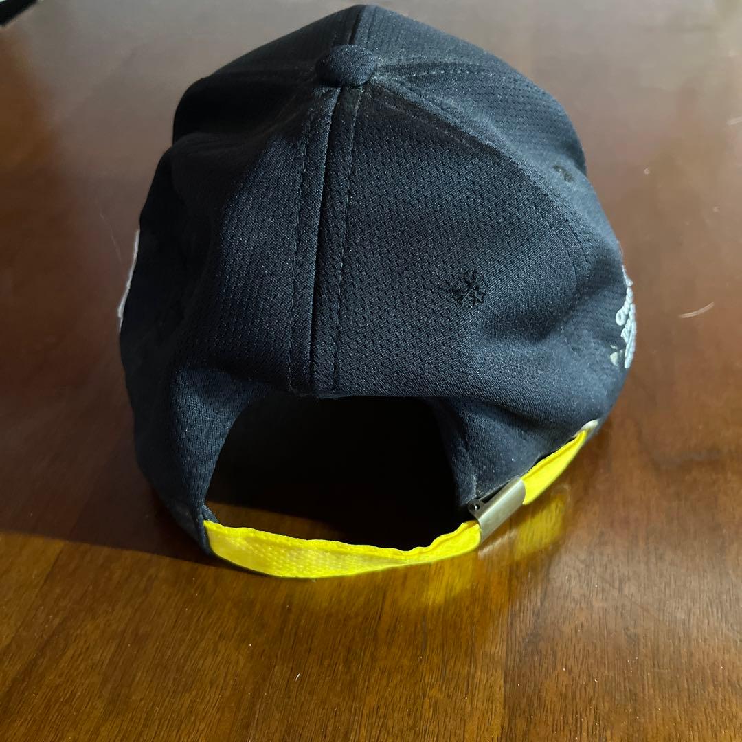 JRA 高木厩舎 NISHINO DAISY 第145回 中山大障害 JGI