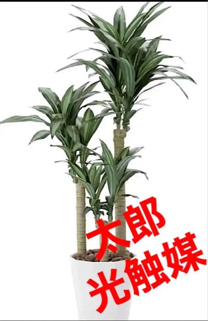 光触媒　人工観葉植物　フェイクグリーン　ドラセナ　幸福の木マッサン160