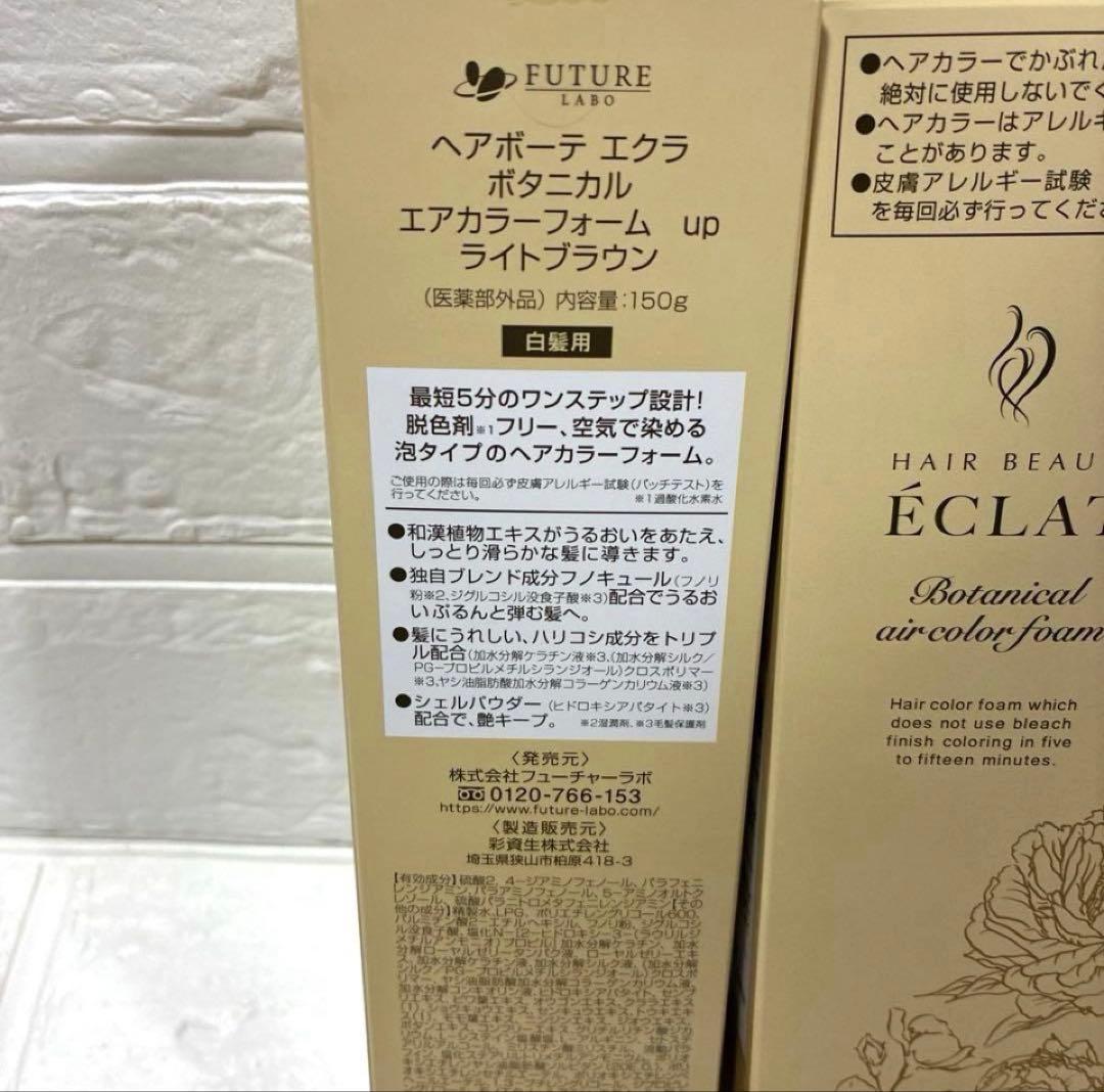ヘアボーテエクラ ボタニカル エアカラーフォームup ライトブラウン2本
