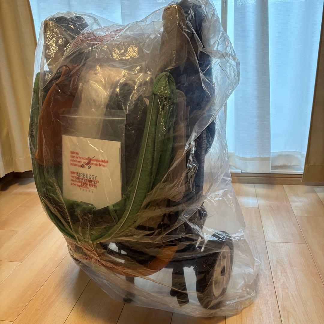 エアバギー AIRBUGGY ココブレーキEX フロムバース ミント グリーン