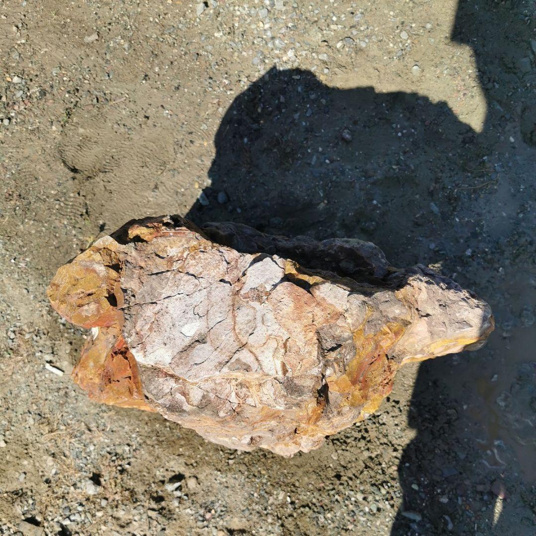 福島産　ジャスパー　77キロ　碧玉　庭石　鑑賞石　石　庭　ガーデニング