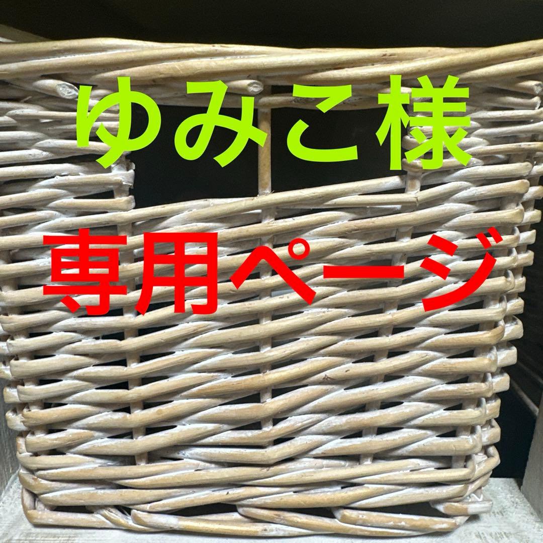 ゆみこページ❣️オーダー羊毛フェルトチワワ