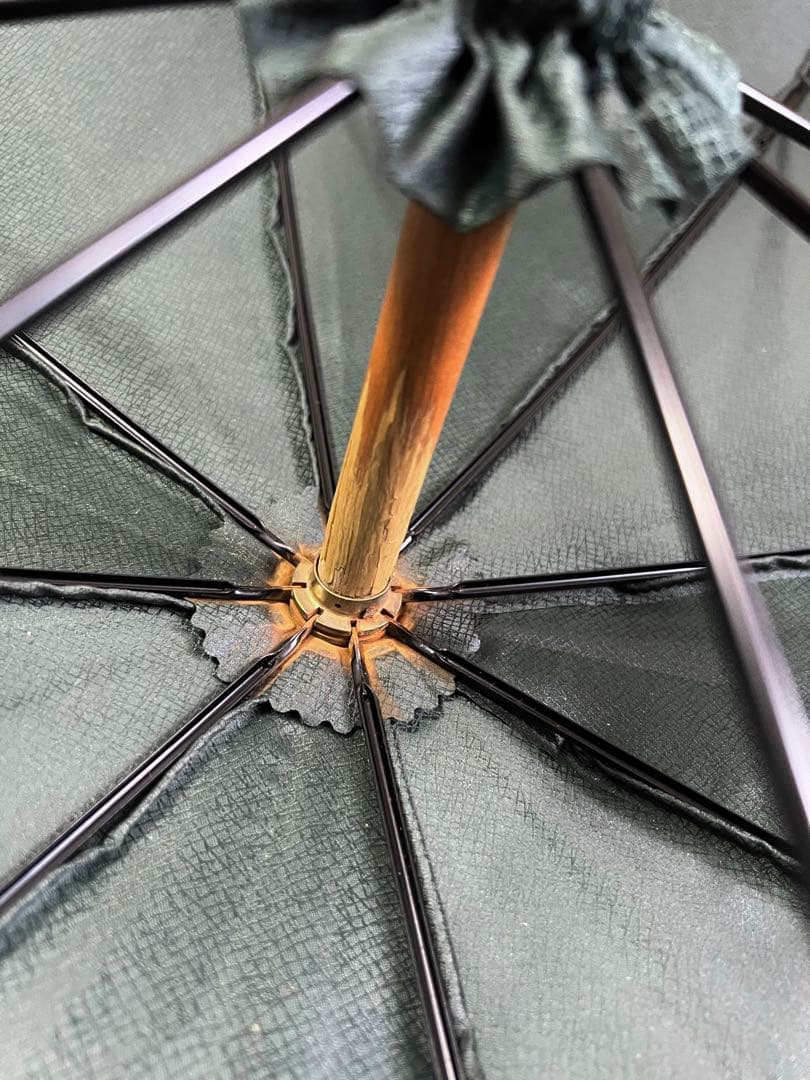 LOUIS VUITTON タイガ 傘 〈Taiga〉Umbrella