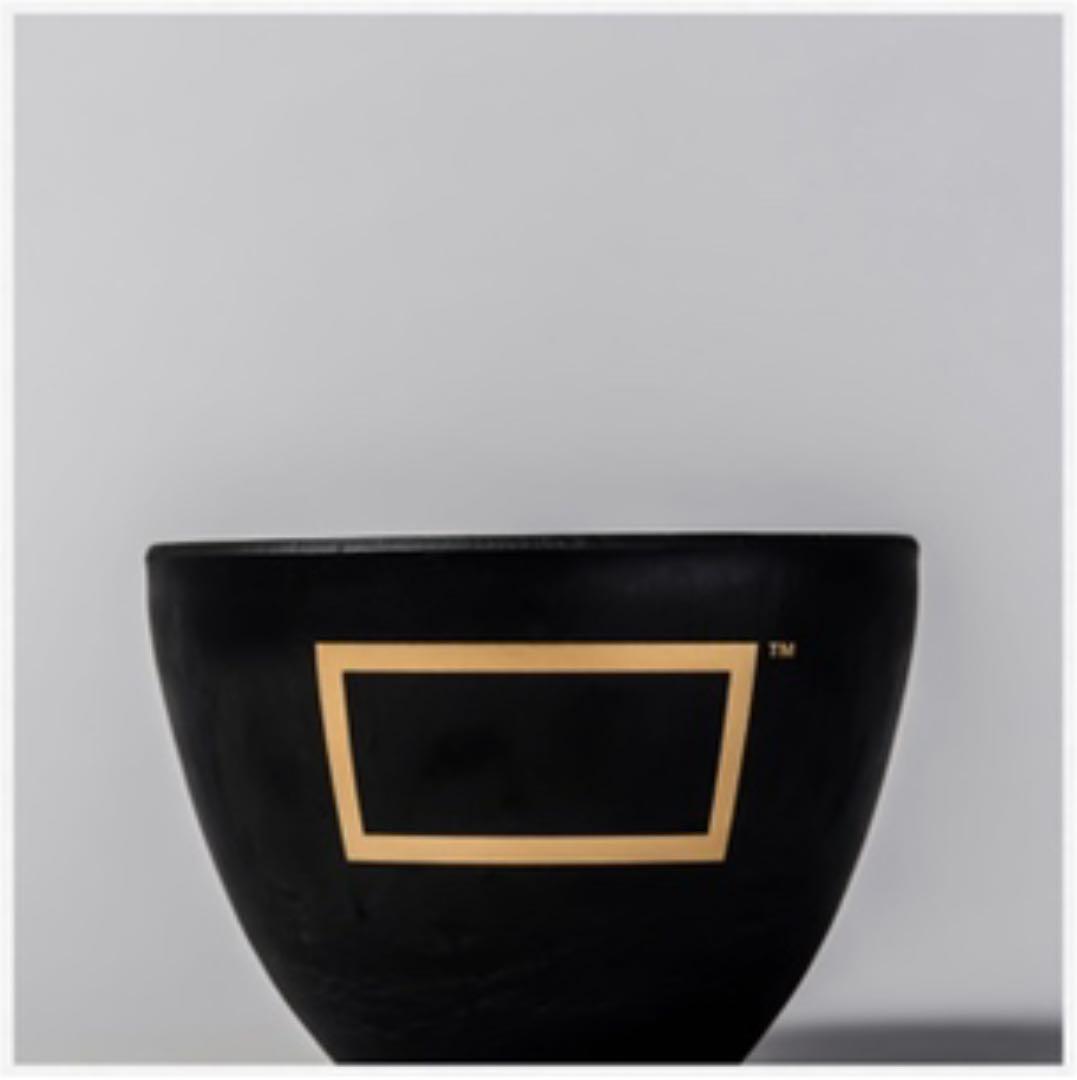 【値下げ】BOTANIZE Plastic Pot Bowl SP 3set