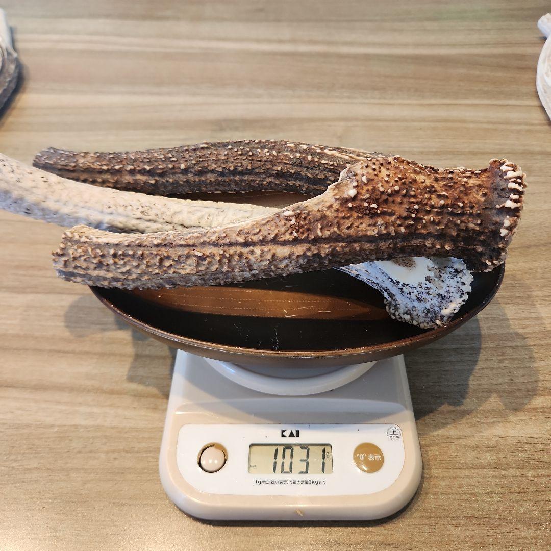 鹿の角　ランダム５kgセット