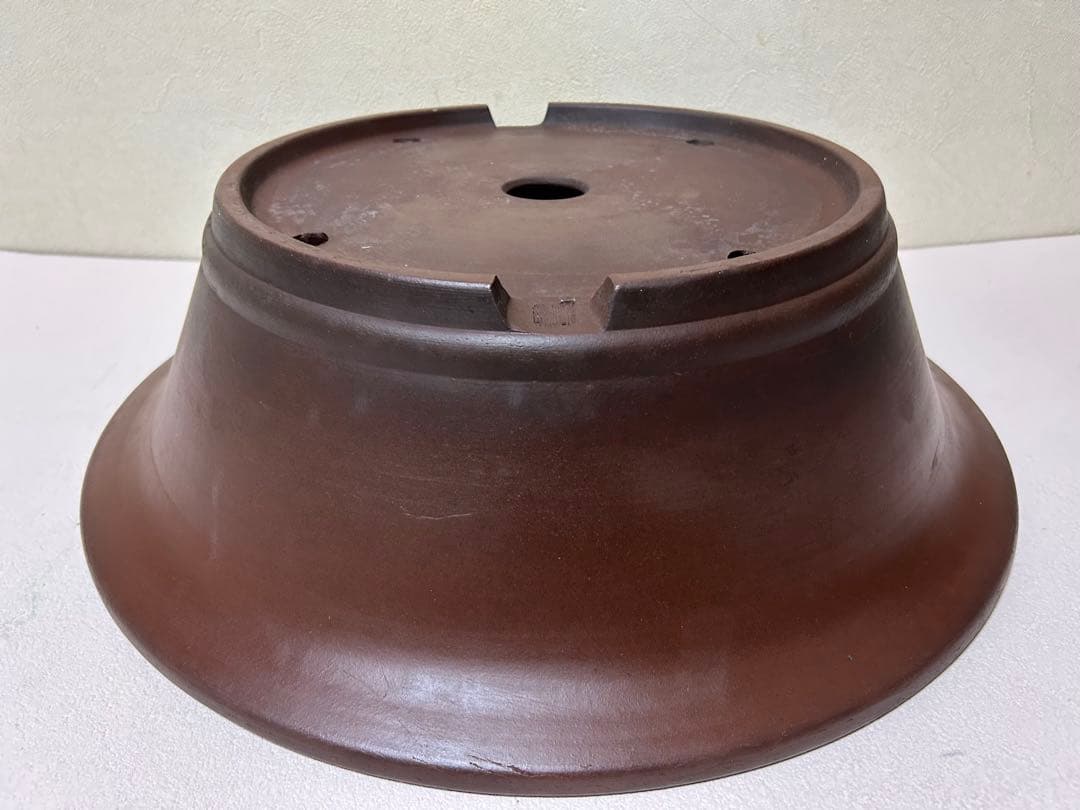 大型　盆栽鉢　松柏　雑木　皐月