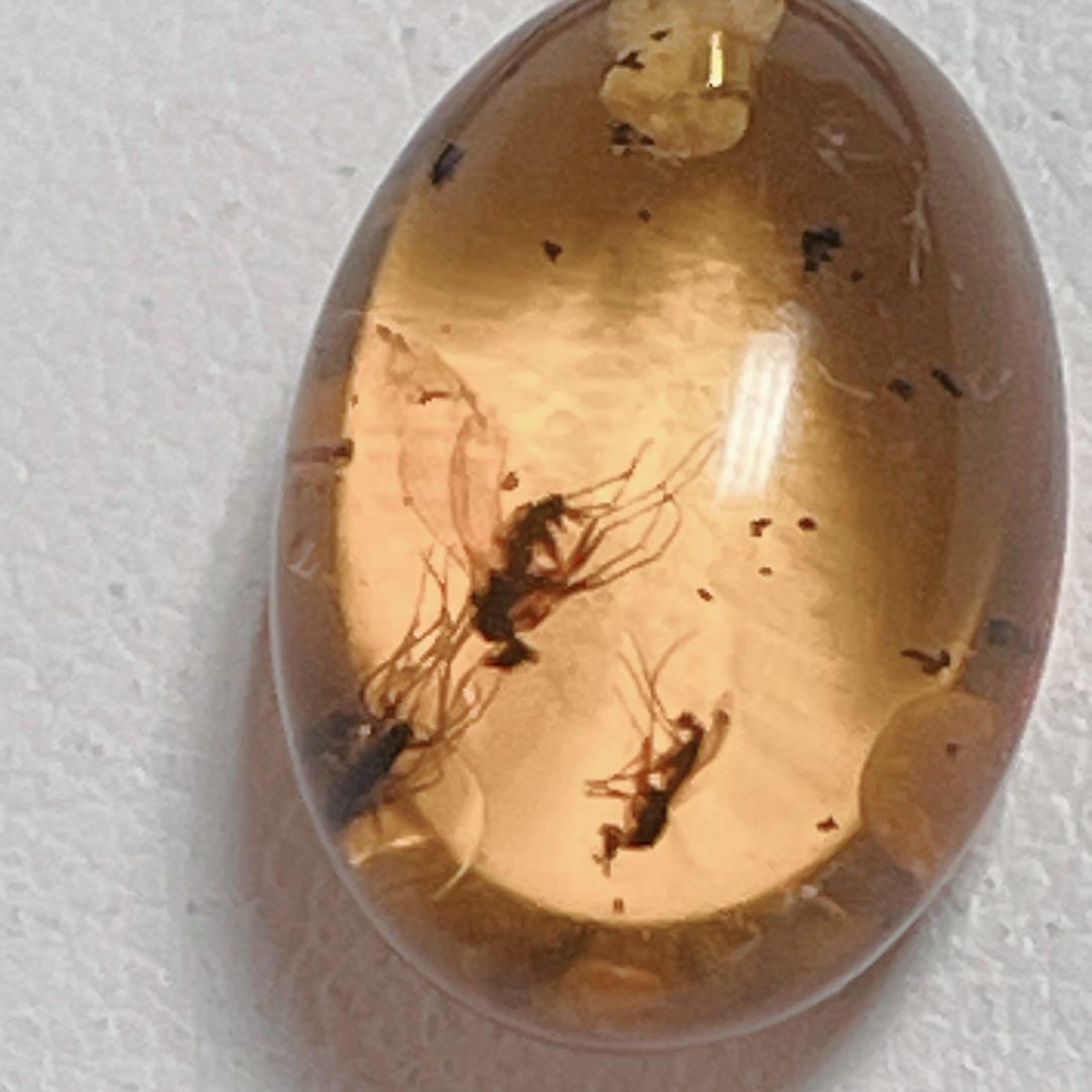 琥珀虫入りペンダントブラックスピネルネックレスNO25-2407