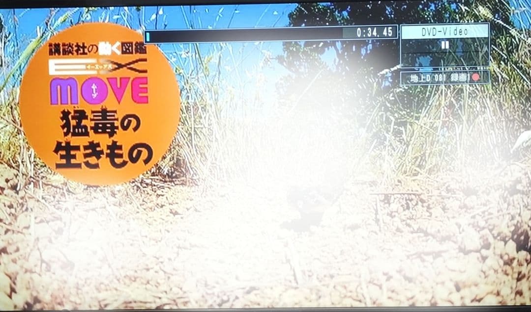 講談社の動く図鑑MOVE ムーブ　10冊DVD付き＋くらべる図鑑 1冊