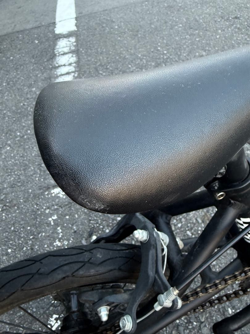 ダーカスワン　レクタス　14インチ（キッズBMX）