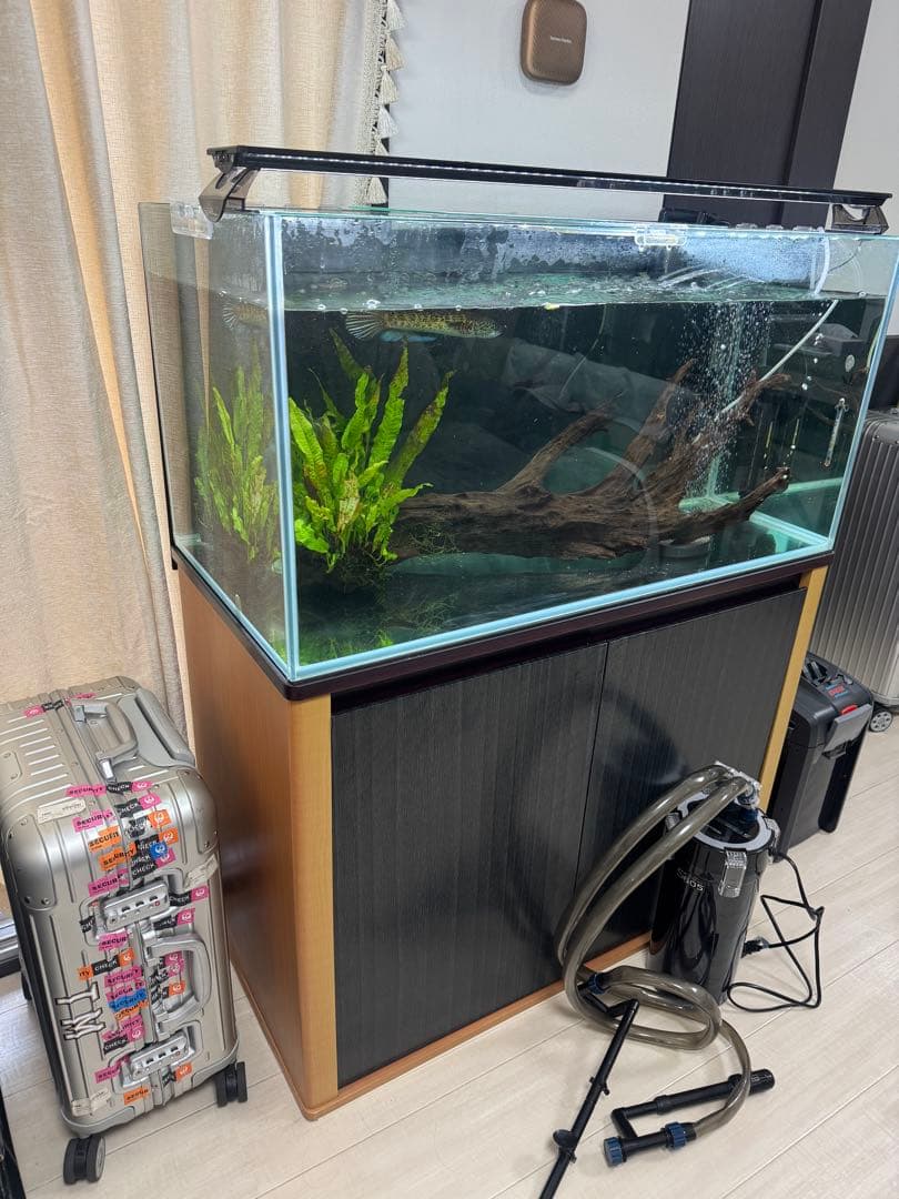 お引取限定 90センチ　ガラス水槽　水槽台　外部フィルター　セット