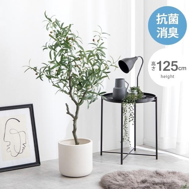 【光触媒/抗菌防臭】人工観葉植物 オリーブ 高さ125cm