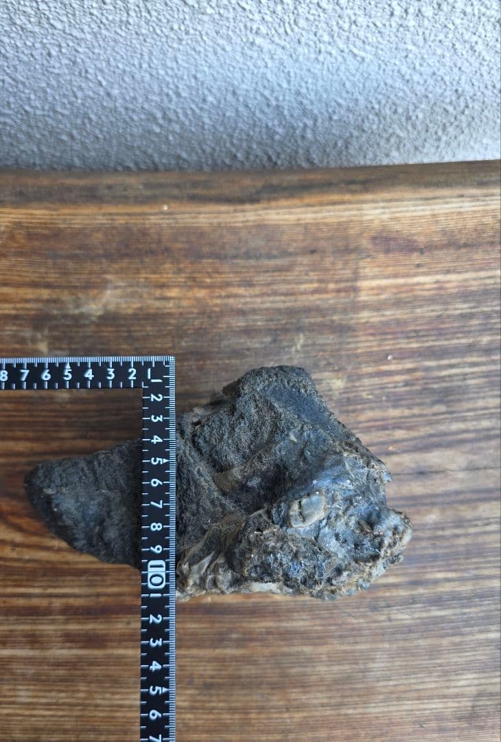 幸太郎石　くずや石　鑑賞石