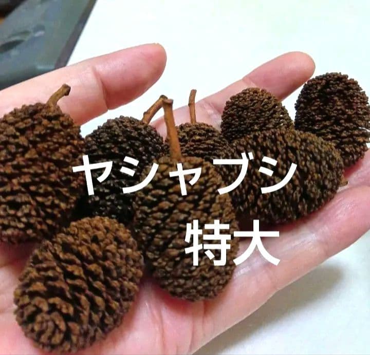 ヤシャブシ特大 25個　リース　アレンジ