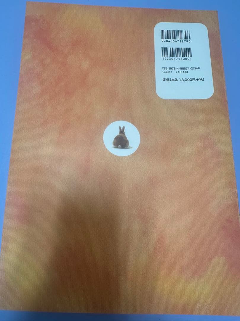 できる!!ウサギの診療　沖田将人　エデュワードプレス