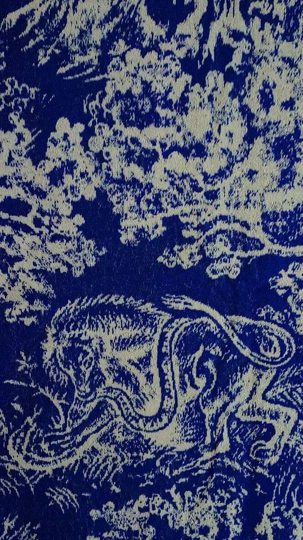 Christian Dior バスタオル ビーチタオル ブランケット