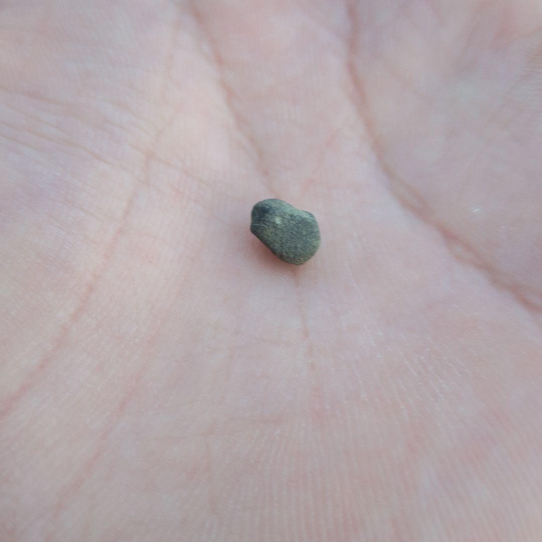 公園に落ちてた砂利一粒