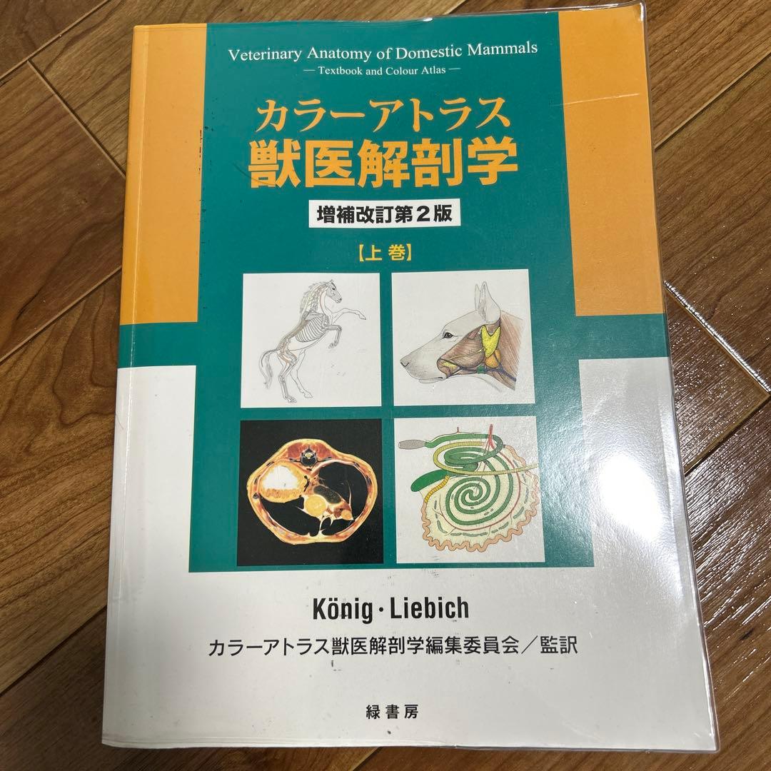 カラーアトラス獣医解剖学 上巻
