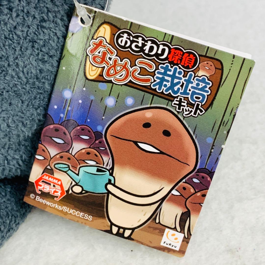 レア　おさわり探偵　なめこ栽培キット　BIGぬいぐるみ　黒　浮き輪　ブラック
