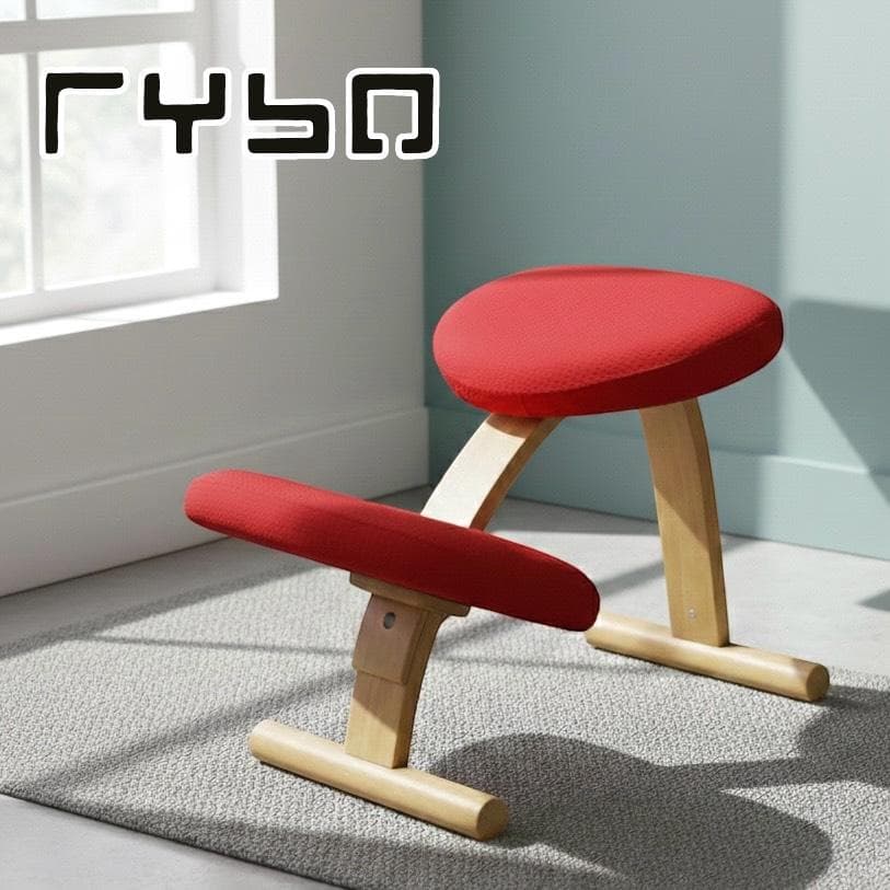 【美品】　バランスチェア　イージー　レッド　カバー付き