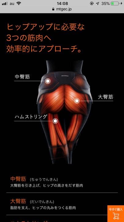 ウエイトトレーニング sixpad bottom belt