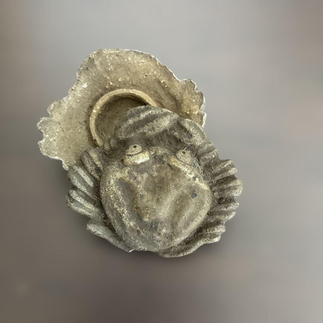 茶道具　香合　蟹　庄米