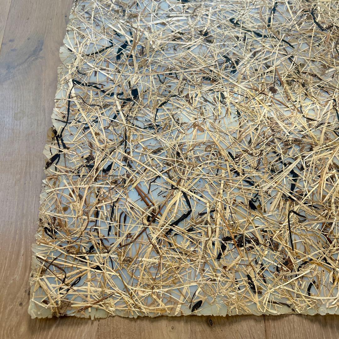 LUISA CEVESEルイーザチェベーゼテーブルマット　アーツ＆サイエンス