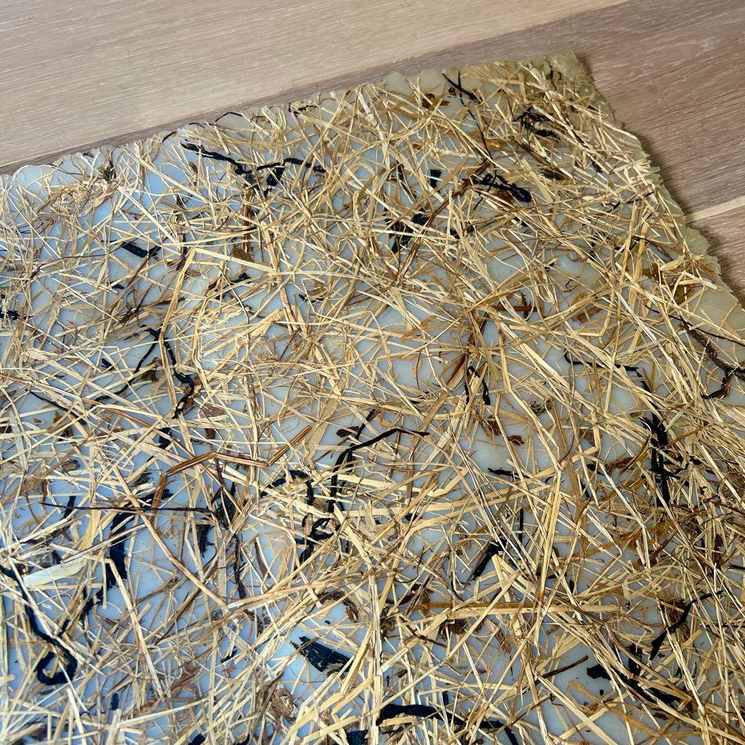 LUISA CEVESEルイーザチェベーゼテーブルマット　アーツ＆サイエンス