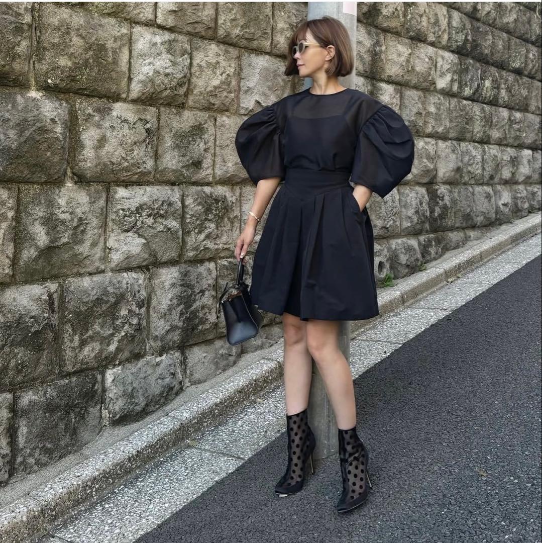 新品未使用cygneビックパフスリーブシースルートップスnadine