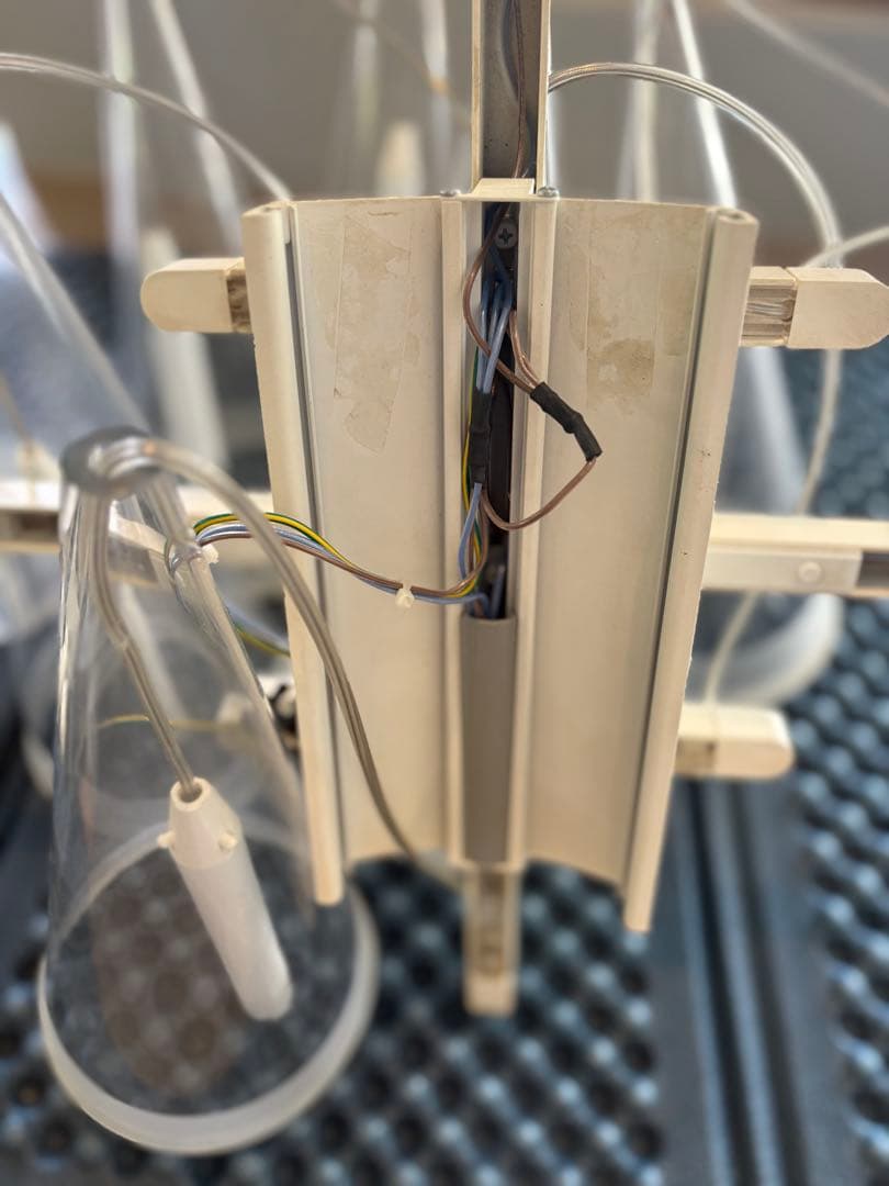 FLOS（フロス）「FUCSIA 8」　値下げ