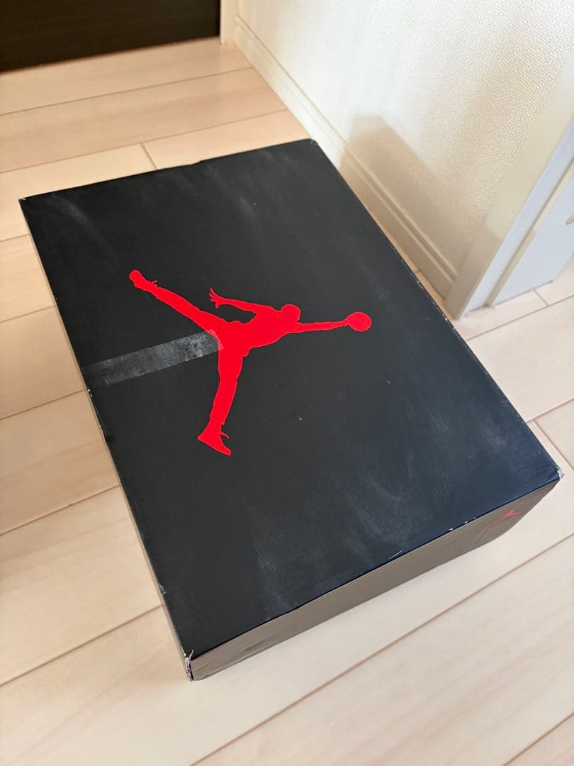 air jordan6 NIKE ナイキ エアジョーダン6 カーマイン 28