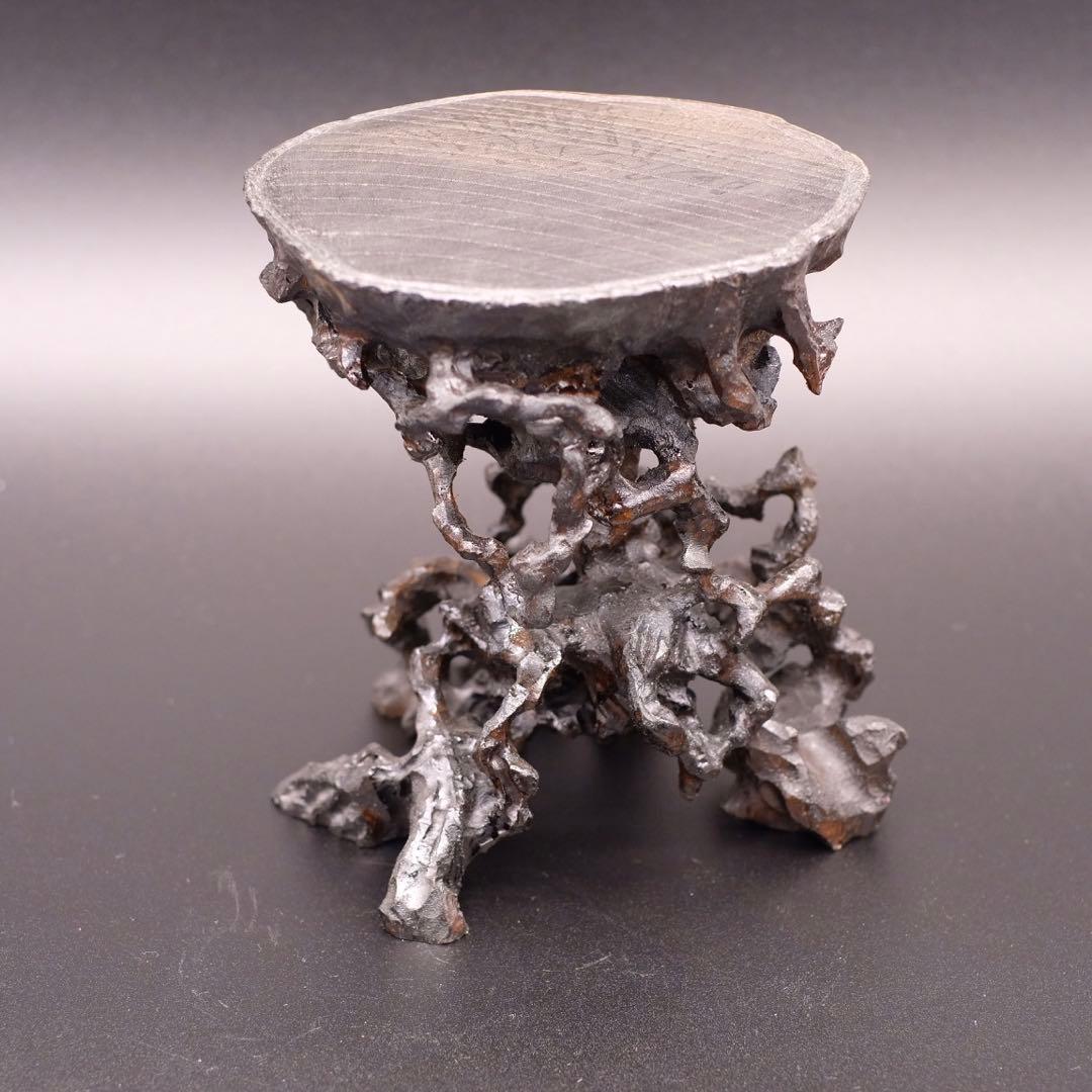 欅　根卓　盆栽