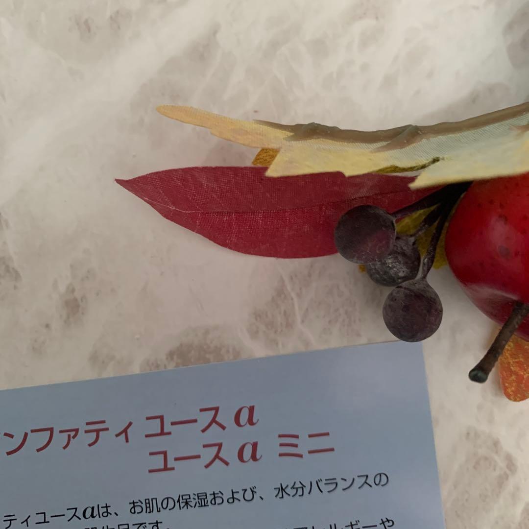 Leo♦️アンファティIF 基礎３品⭐️ユースミニ1本プレゼント・新彩図 2