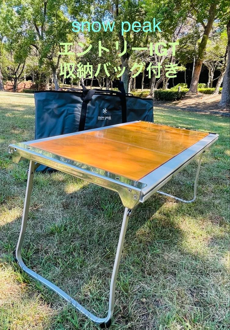  peak エントリーIGT 収納バッグ付き